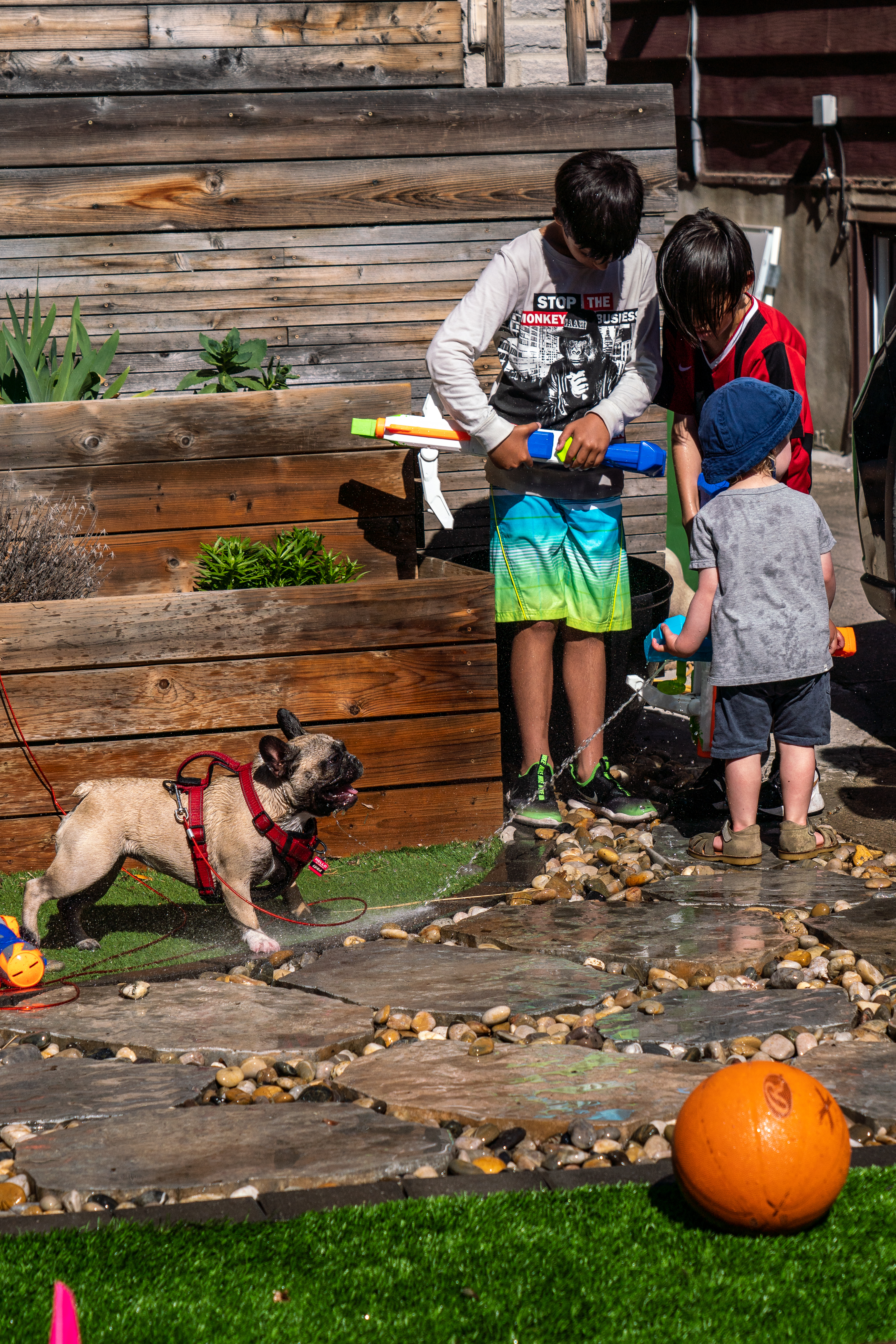 2022 Muriel Ave street party photo