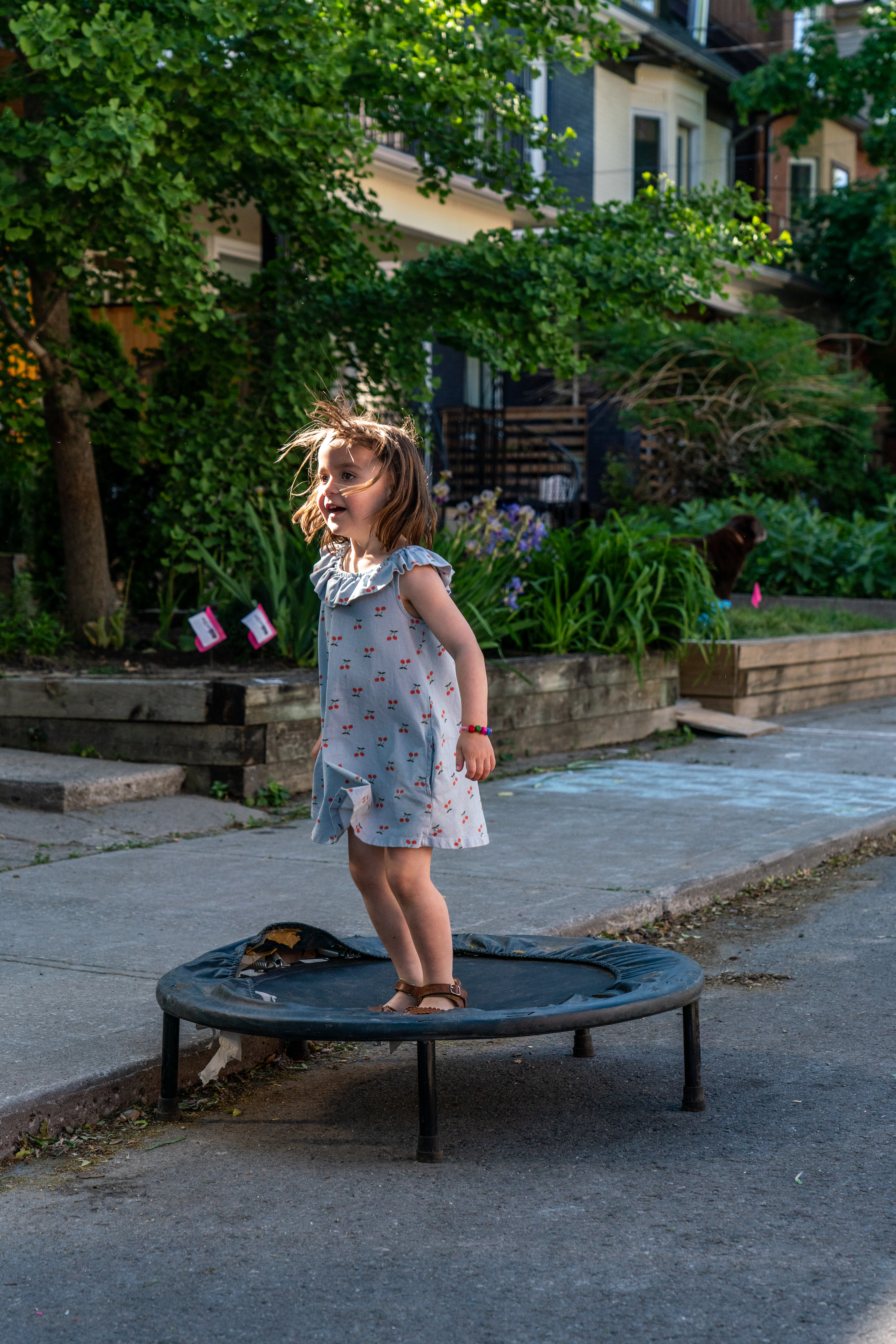 2022 Muriel Ave street party photo