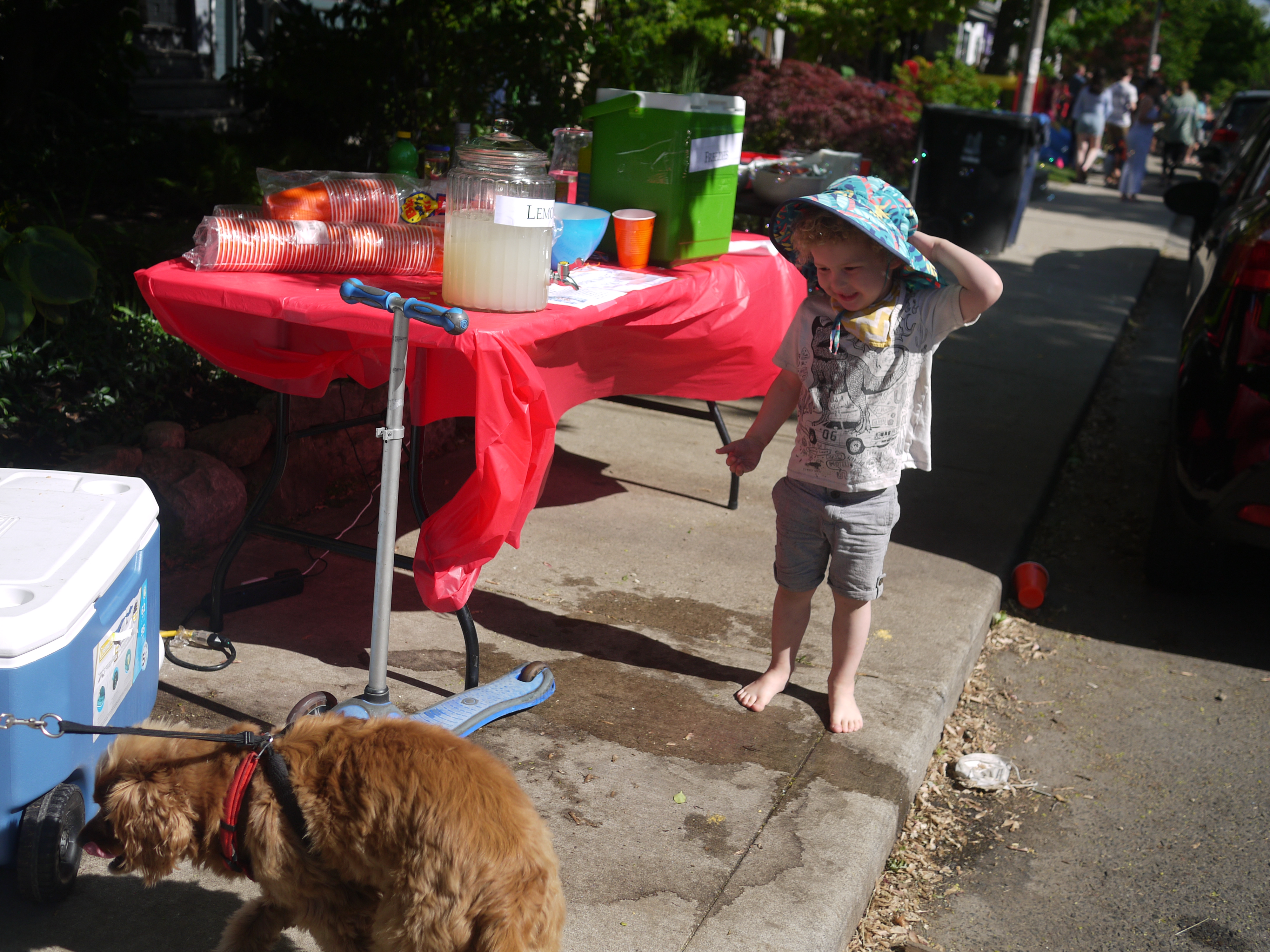 2022 Muriel Ave street party photo