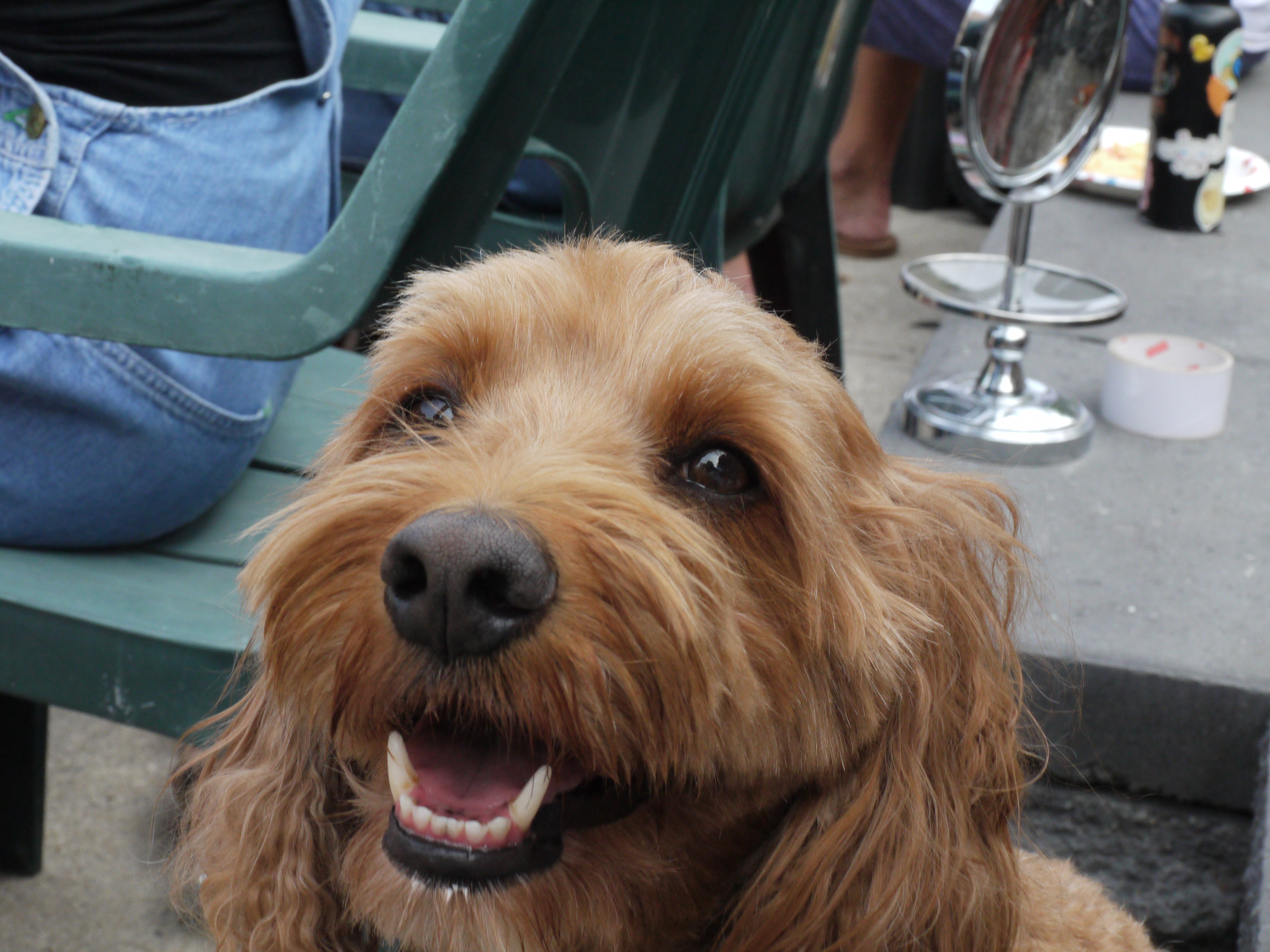 2023 Muriel Ave street party photo