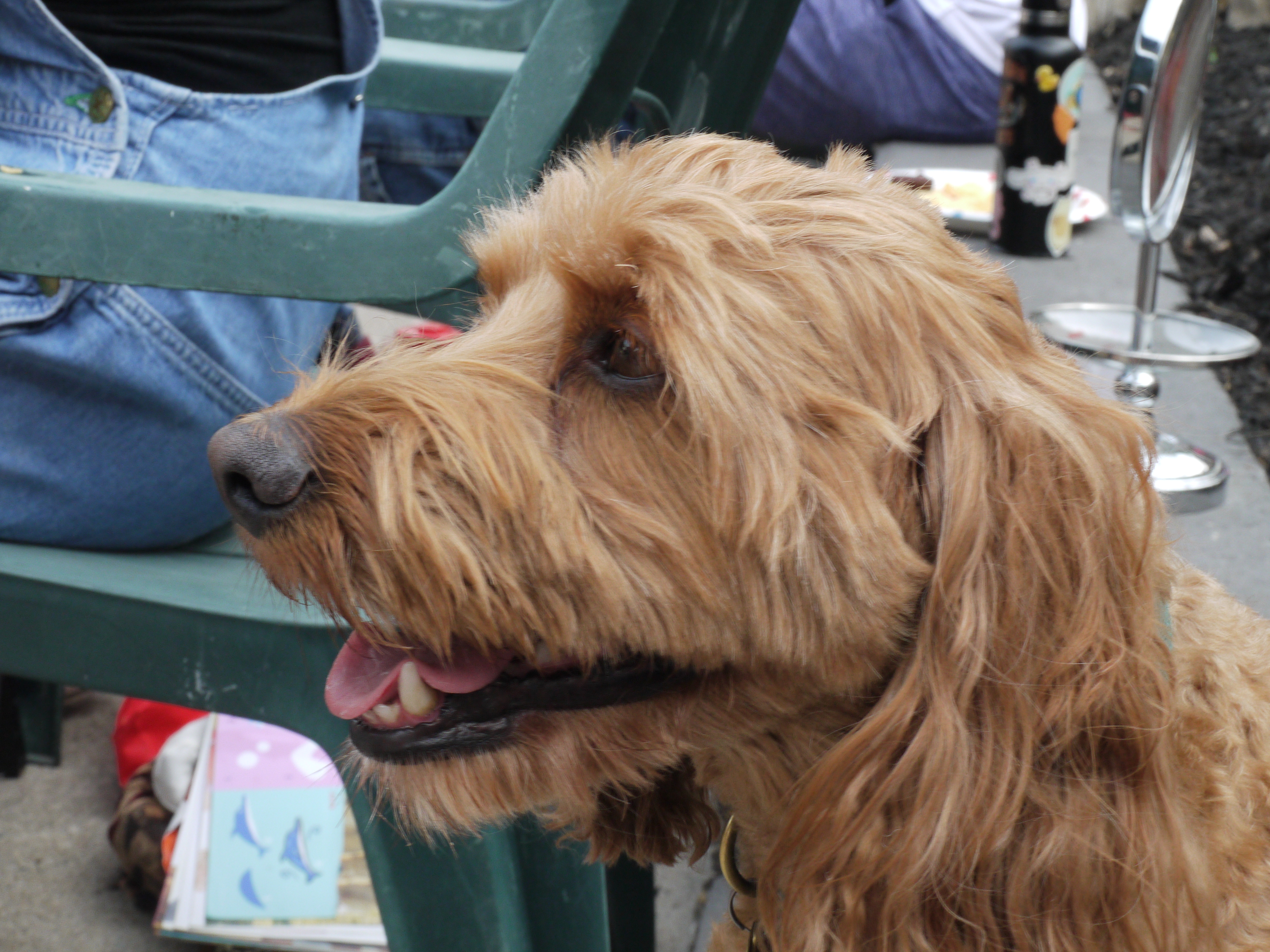 2023 Muriel Ave street party photo