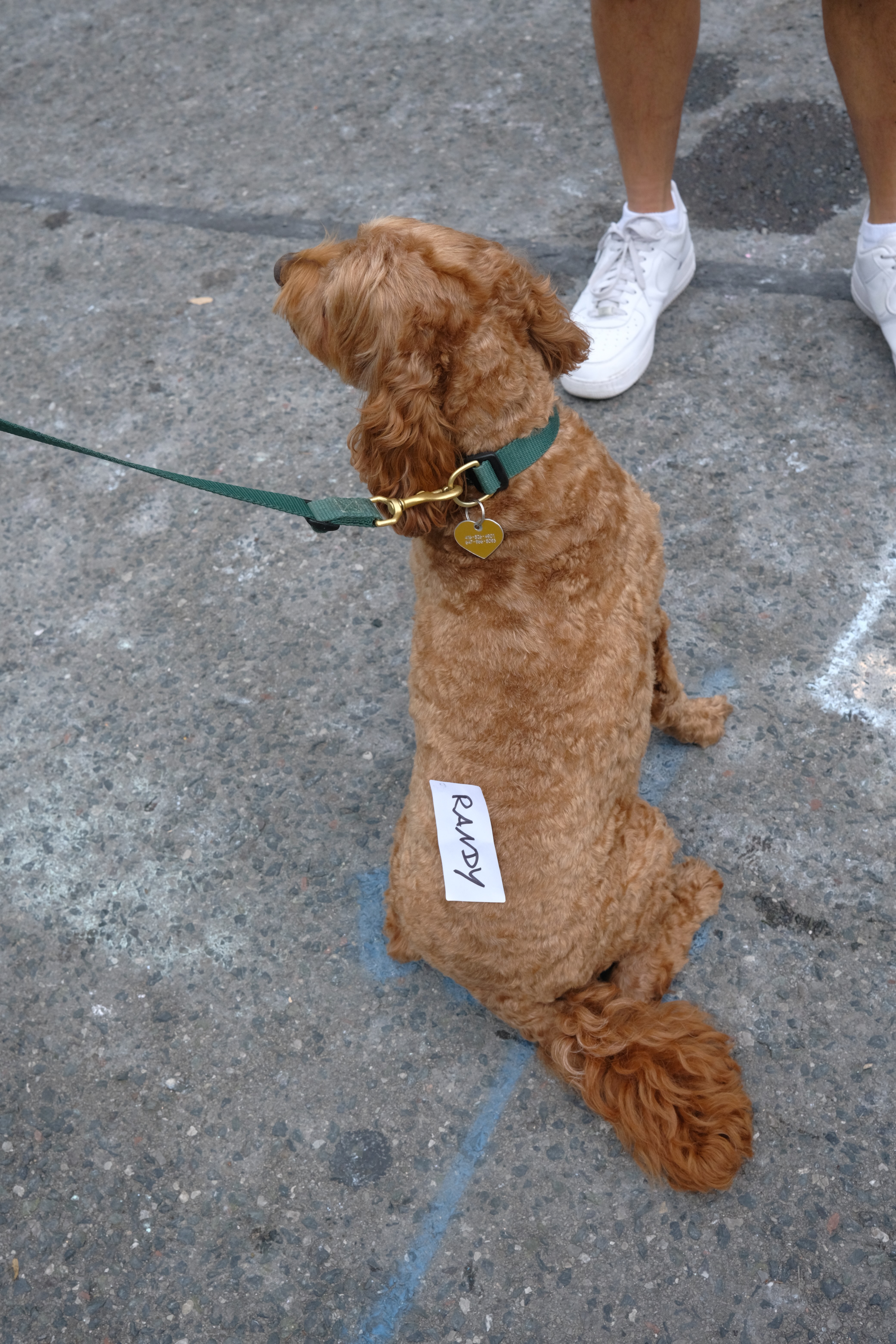 2024 Muriel Ave street party photo