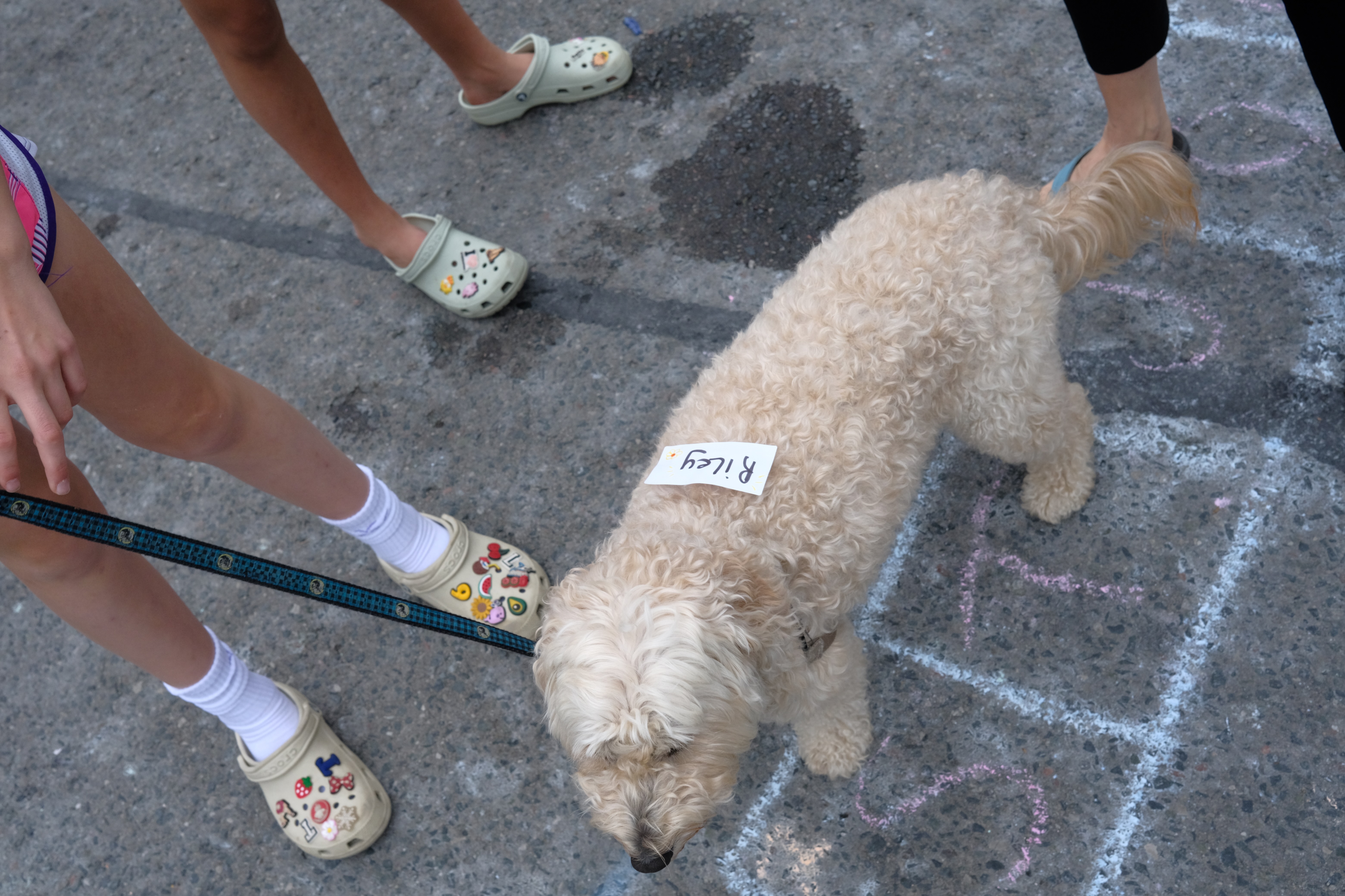 2024 Muriel Ave street party photo