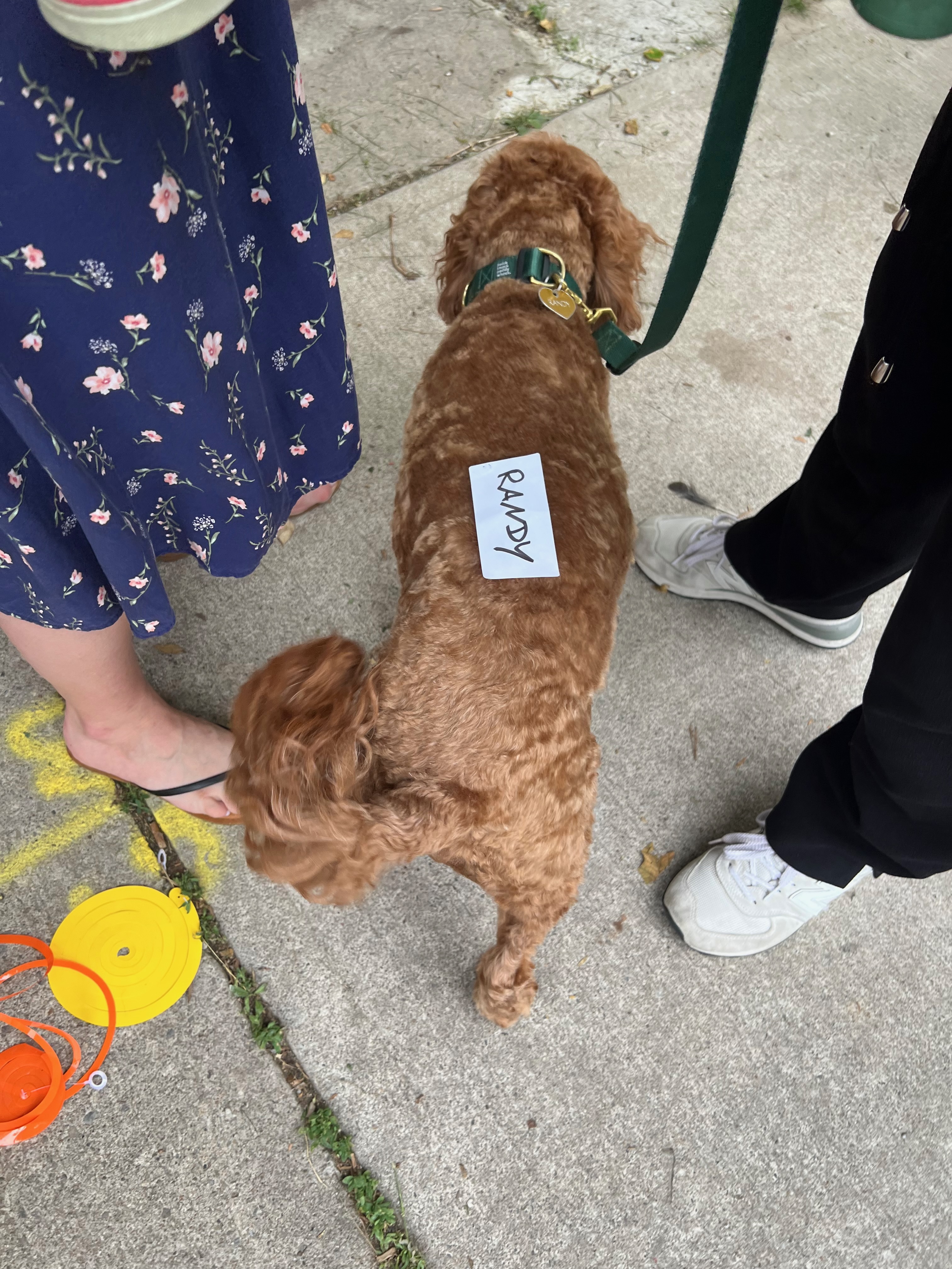 2024 Muriel Ave street party photo