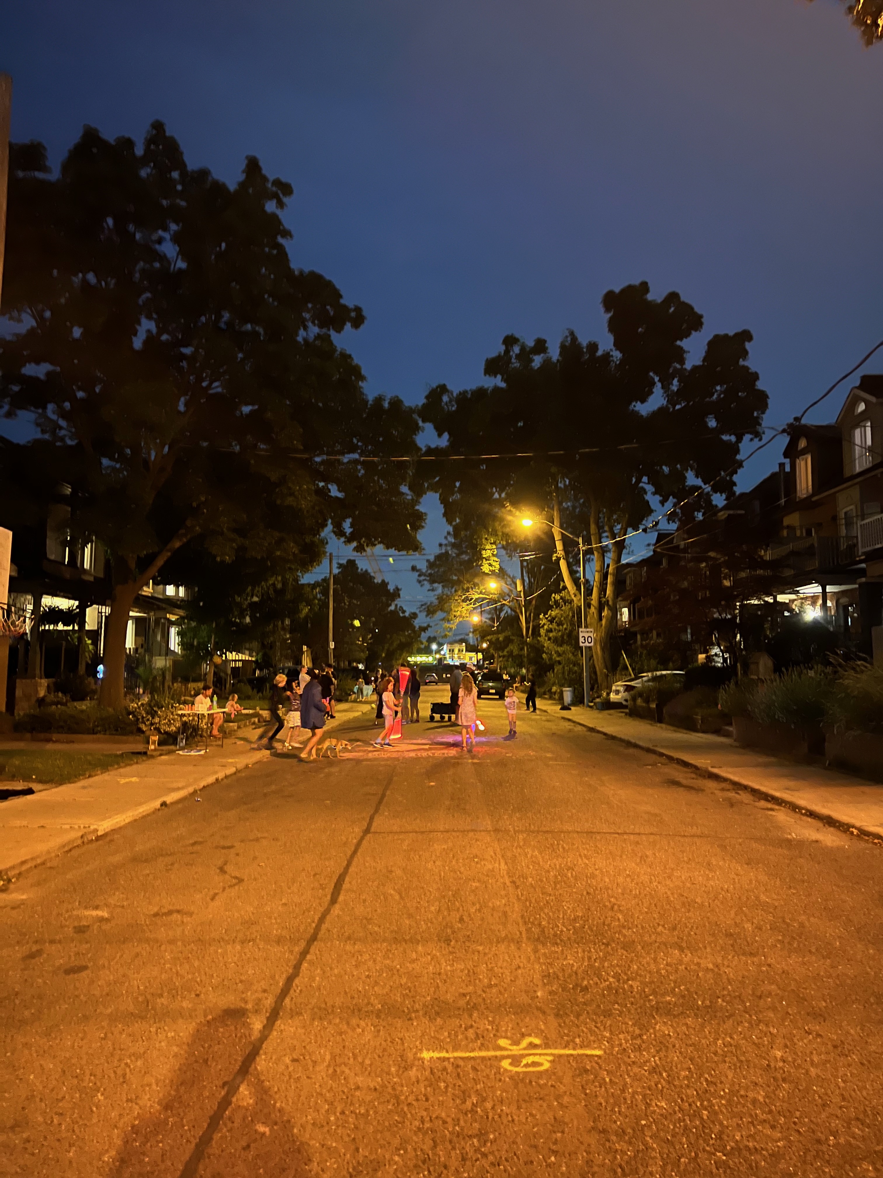2024 Muriel Ave street party photo