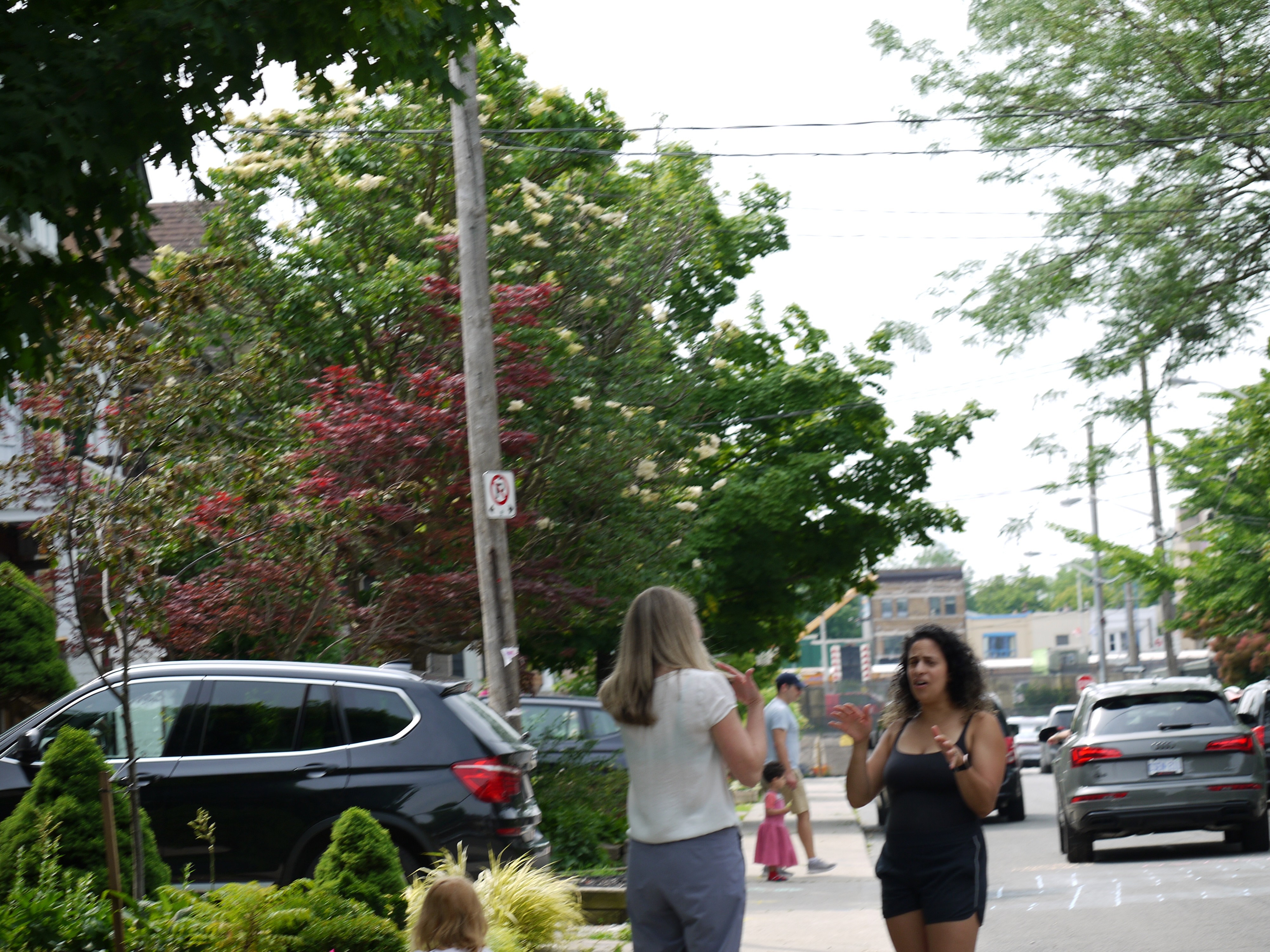 2024 Muriel Ave street party photo