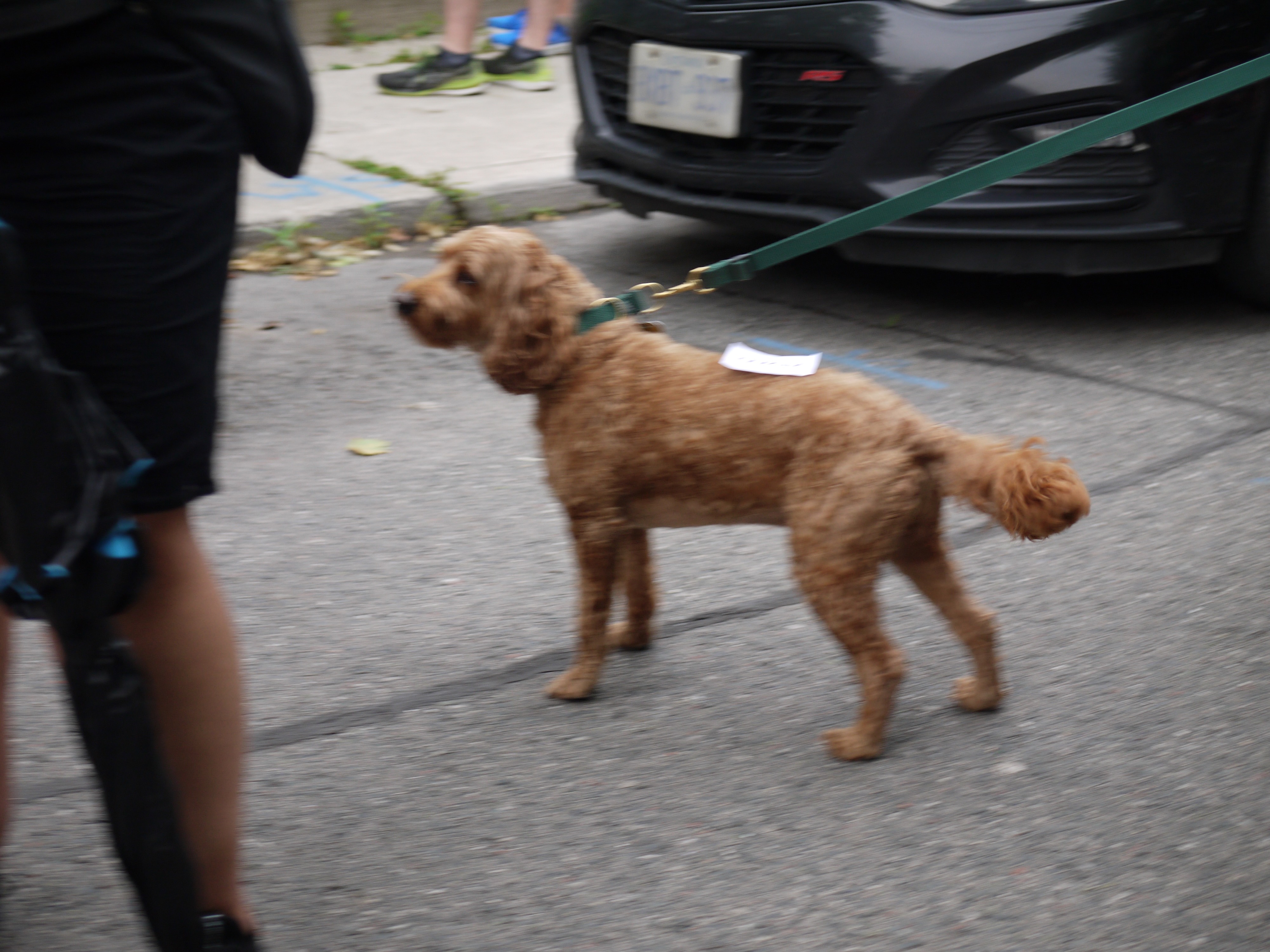 2024 Muriel Ave street party photo
