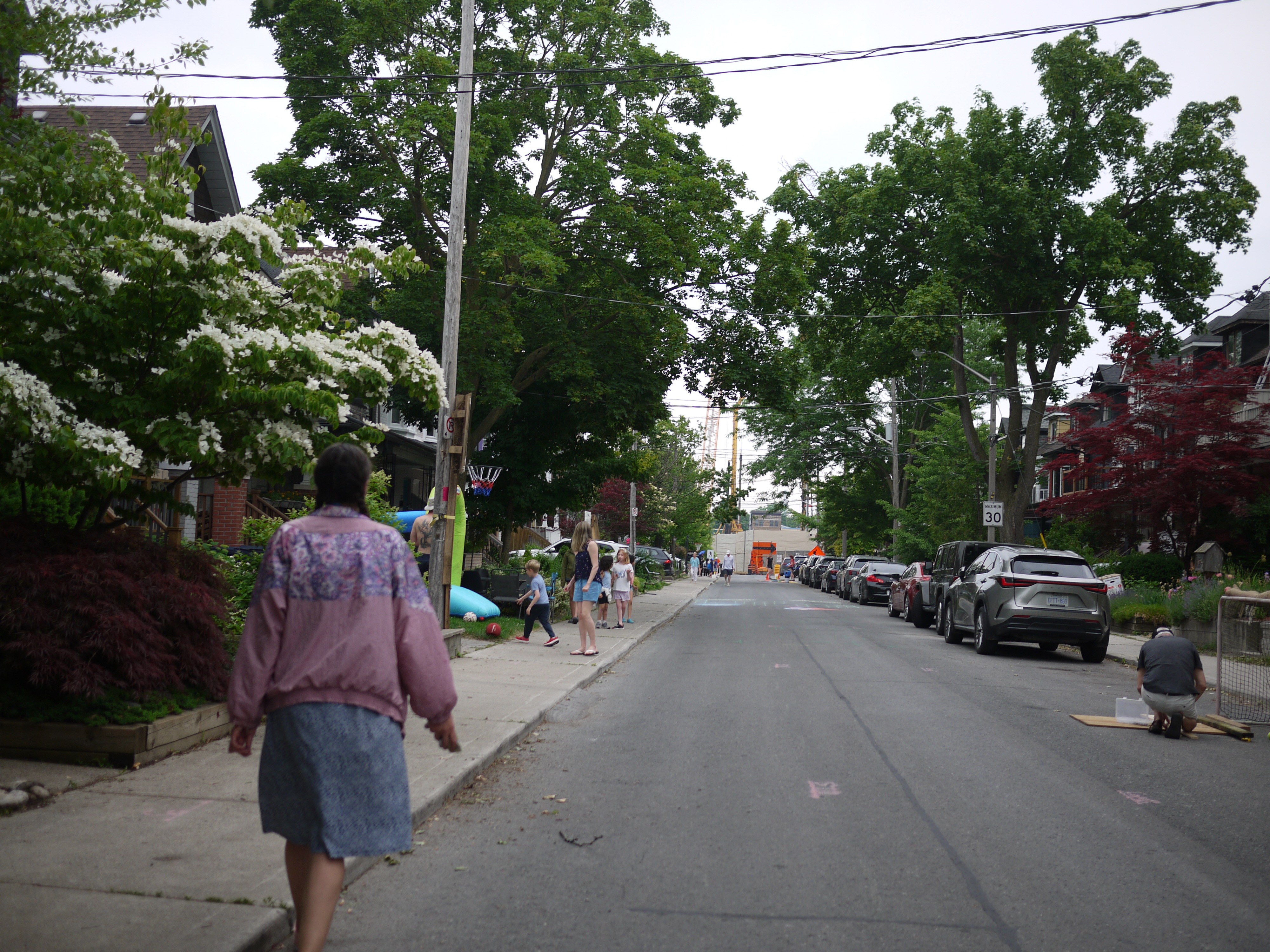 2025 Muriel Ave street party photo